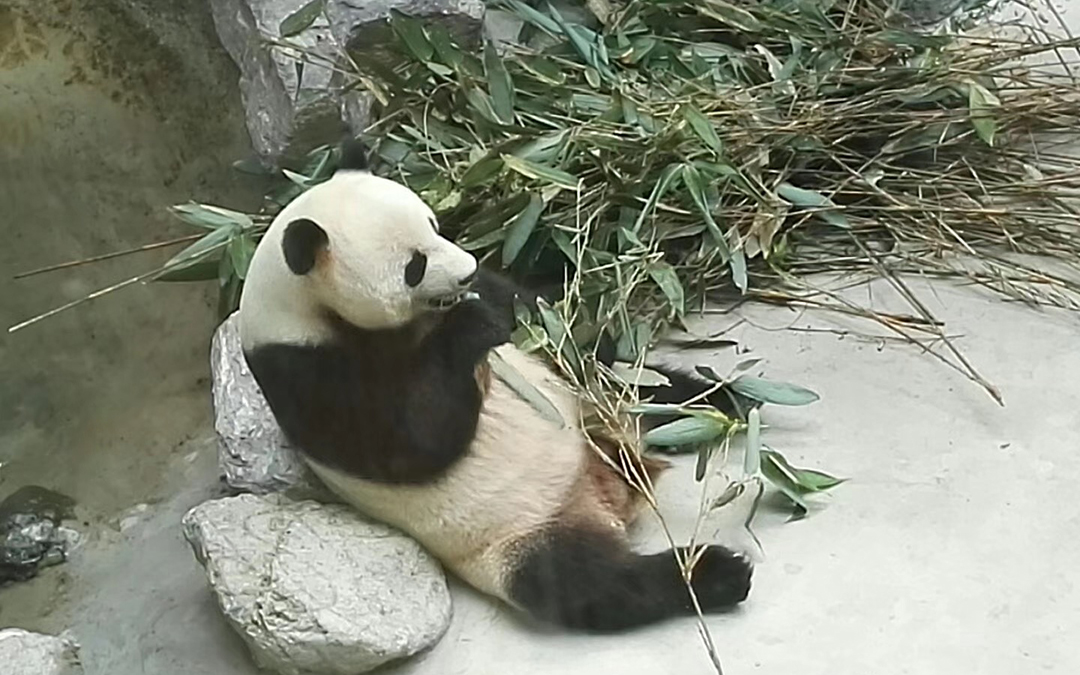 China Private Tours