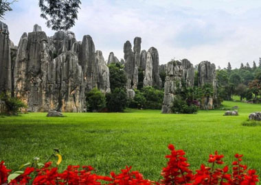 Kunming