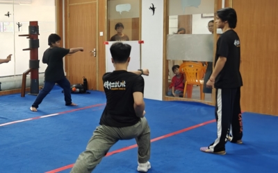Private Half-Day Kungfu Experience in Foshan from Guangzhou