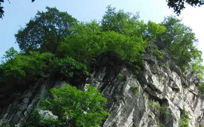 Solitary Beauty Peak