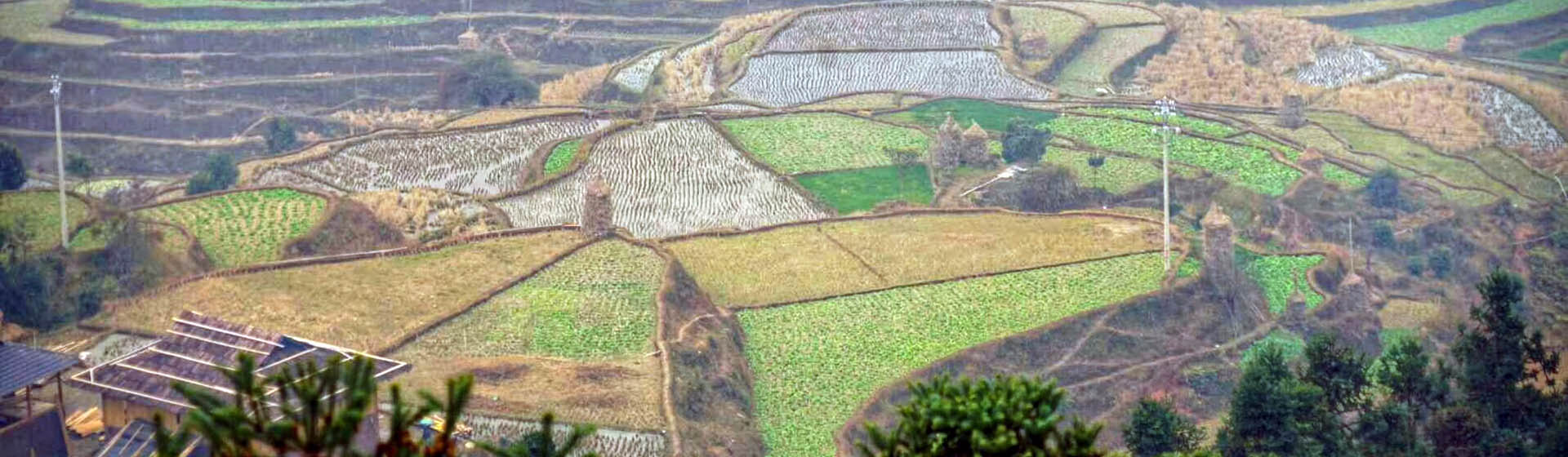 China Private Tours